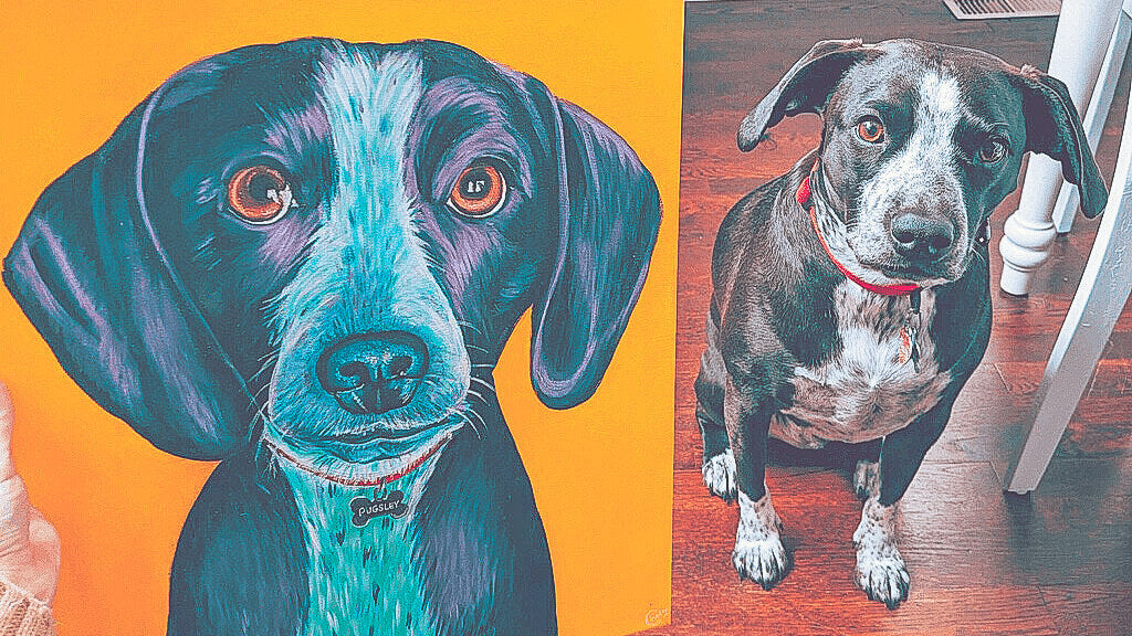 Gift Ideas for Dog Lovers and Owners