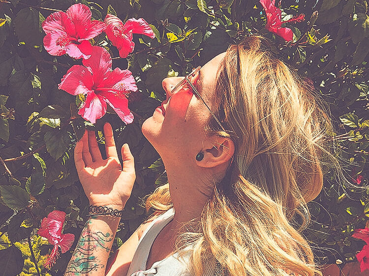 Botanical Photography Series: Flower Child