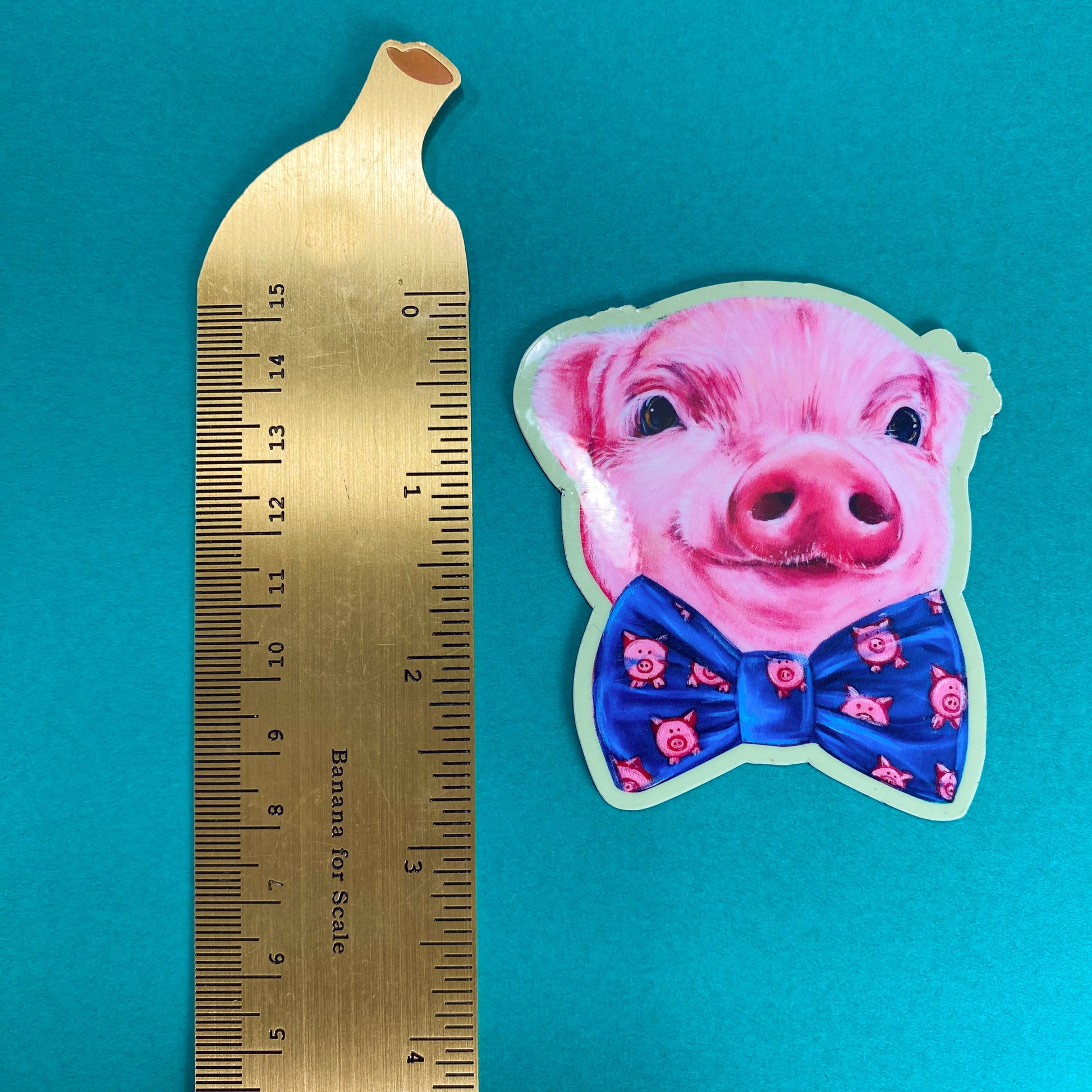 Hamilton the Pig Magnet