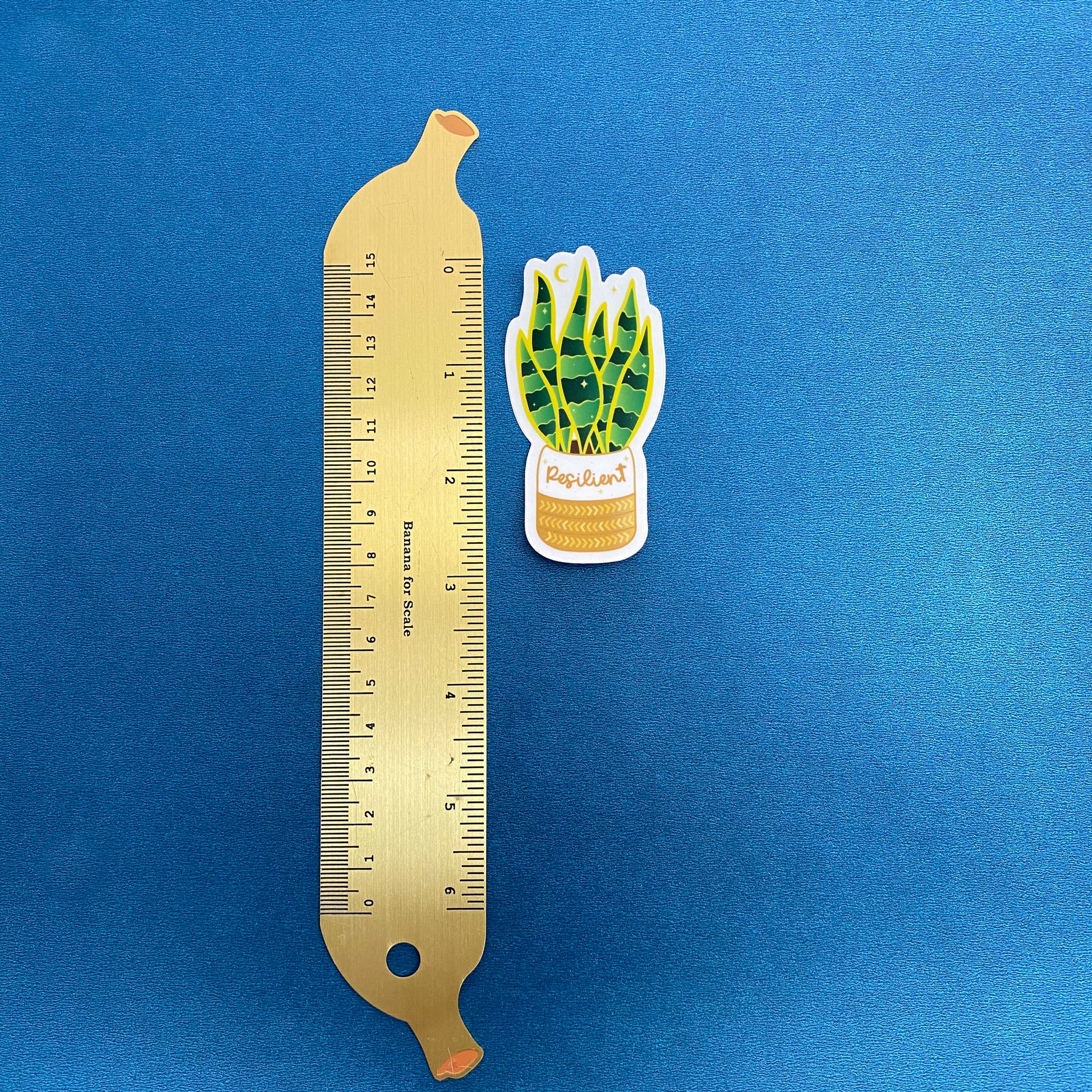 Resilient Snake Plant Vinyl Sticker