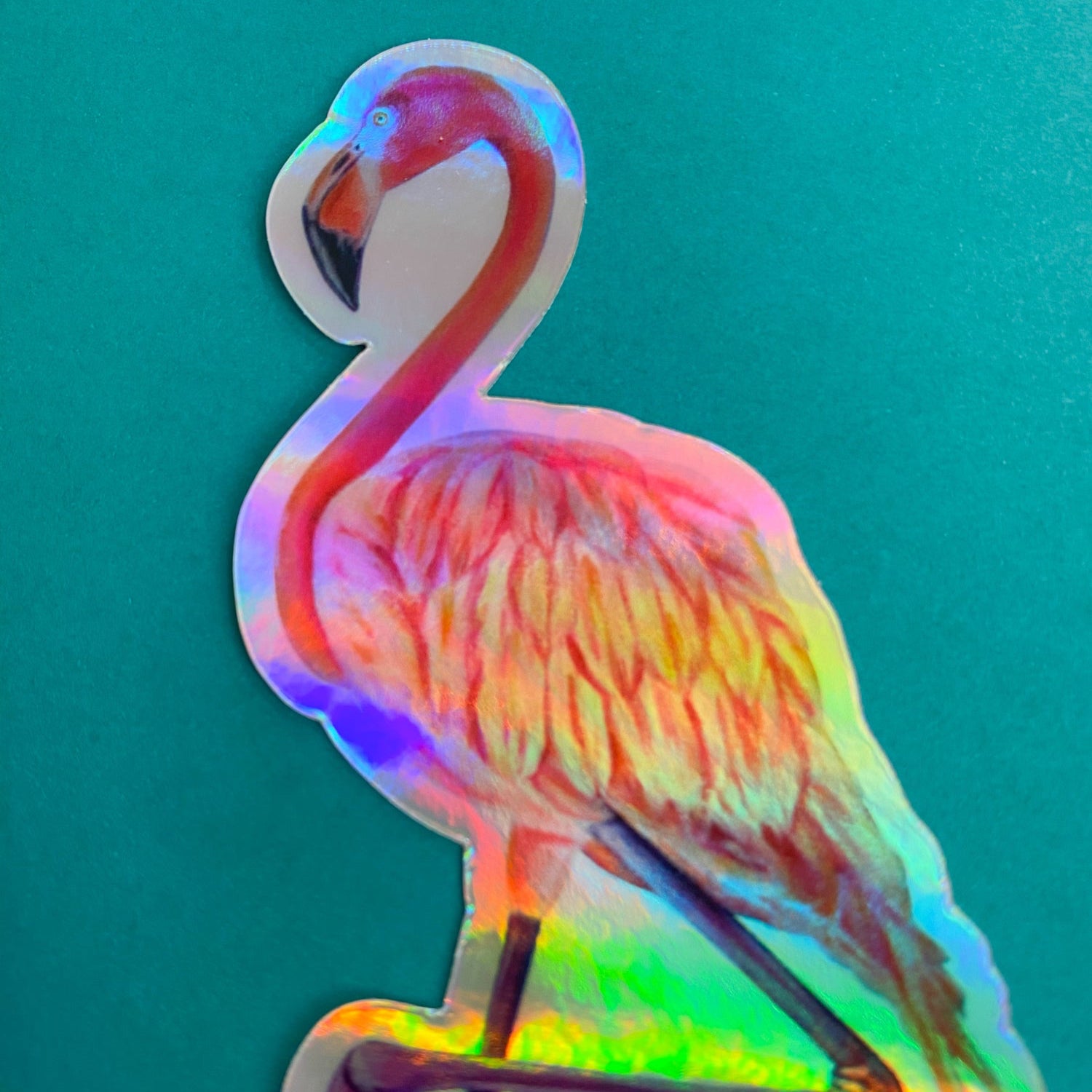 Flamingo Vinyl Sticker