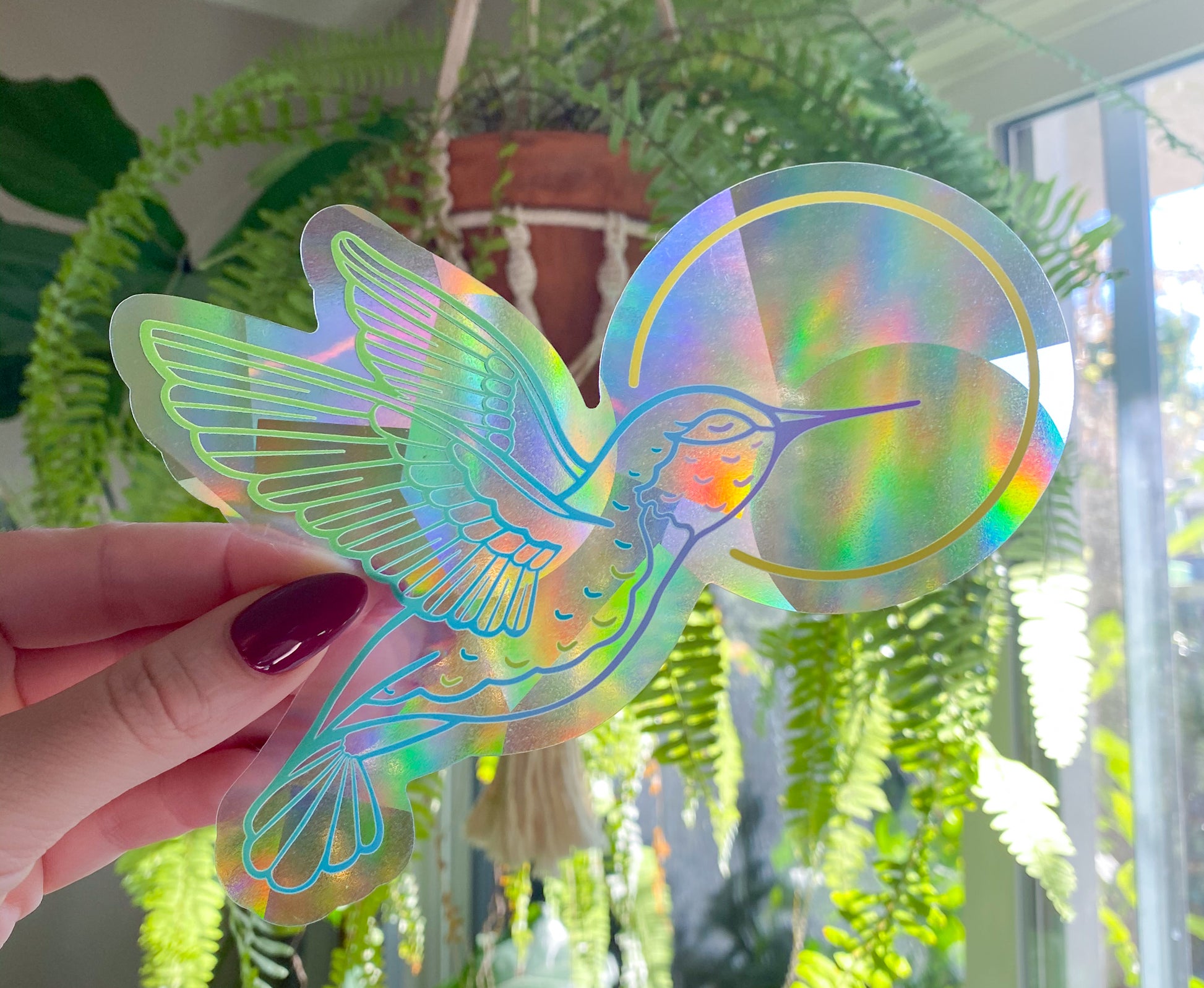 Hummingbird Suncatcher Decal