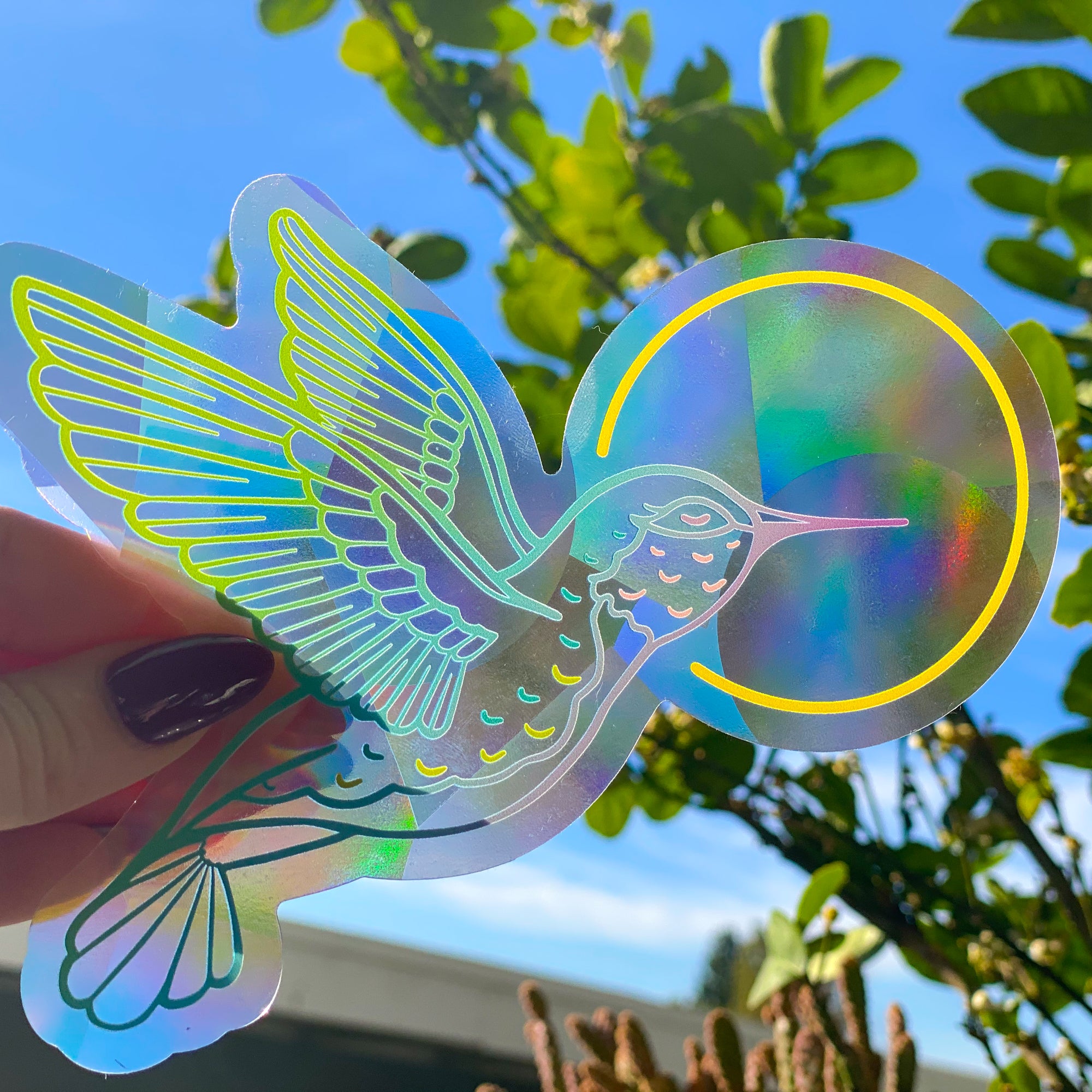 Hummingbird Suncatcher Decal