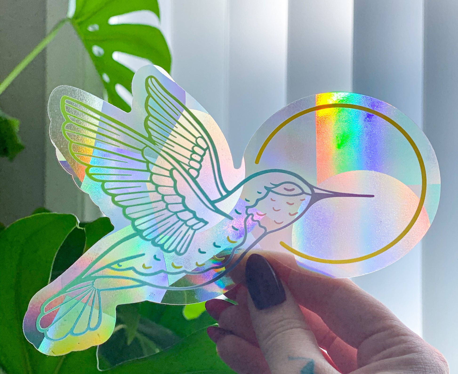 Hummingbird Suncatcher Decal