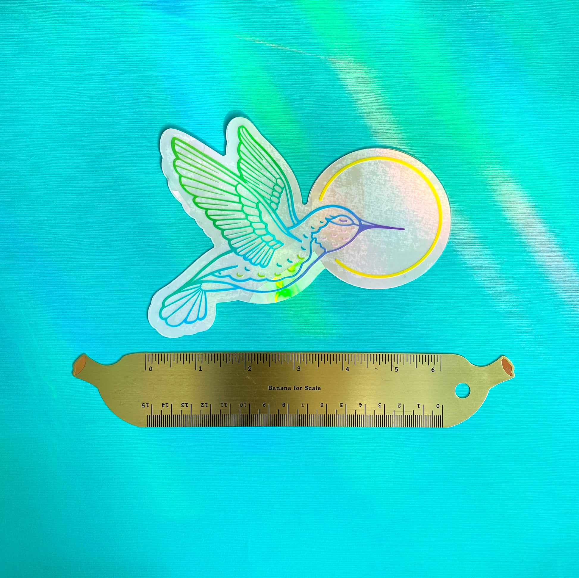 Hummingbird Suncatcher Decal