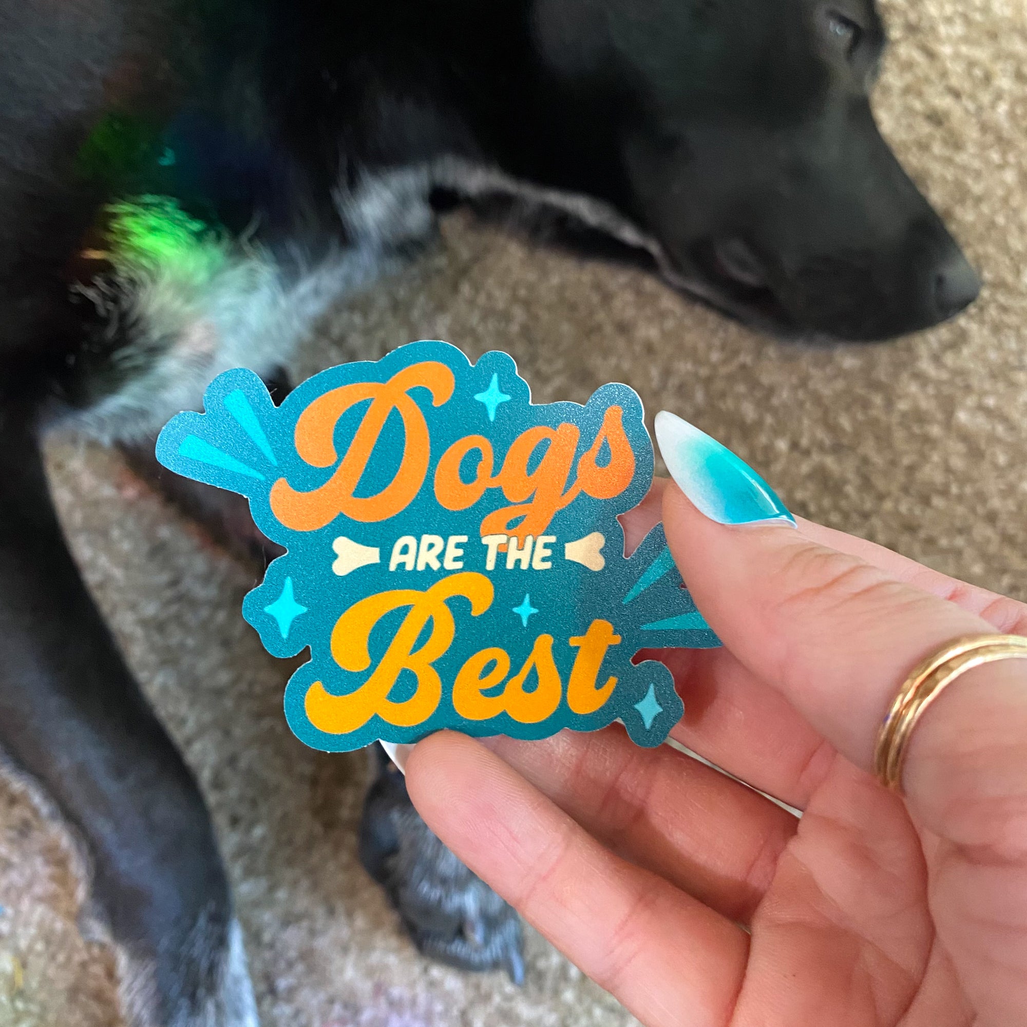 Dogs Are The Best Vinyl Sticker