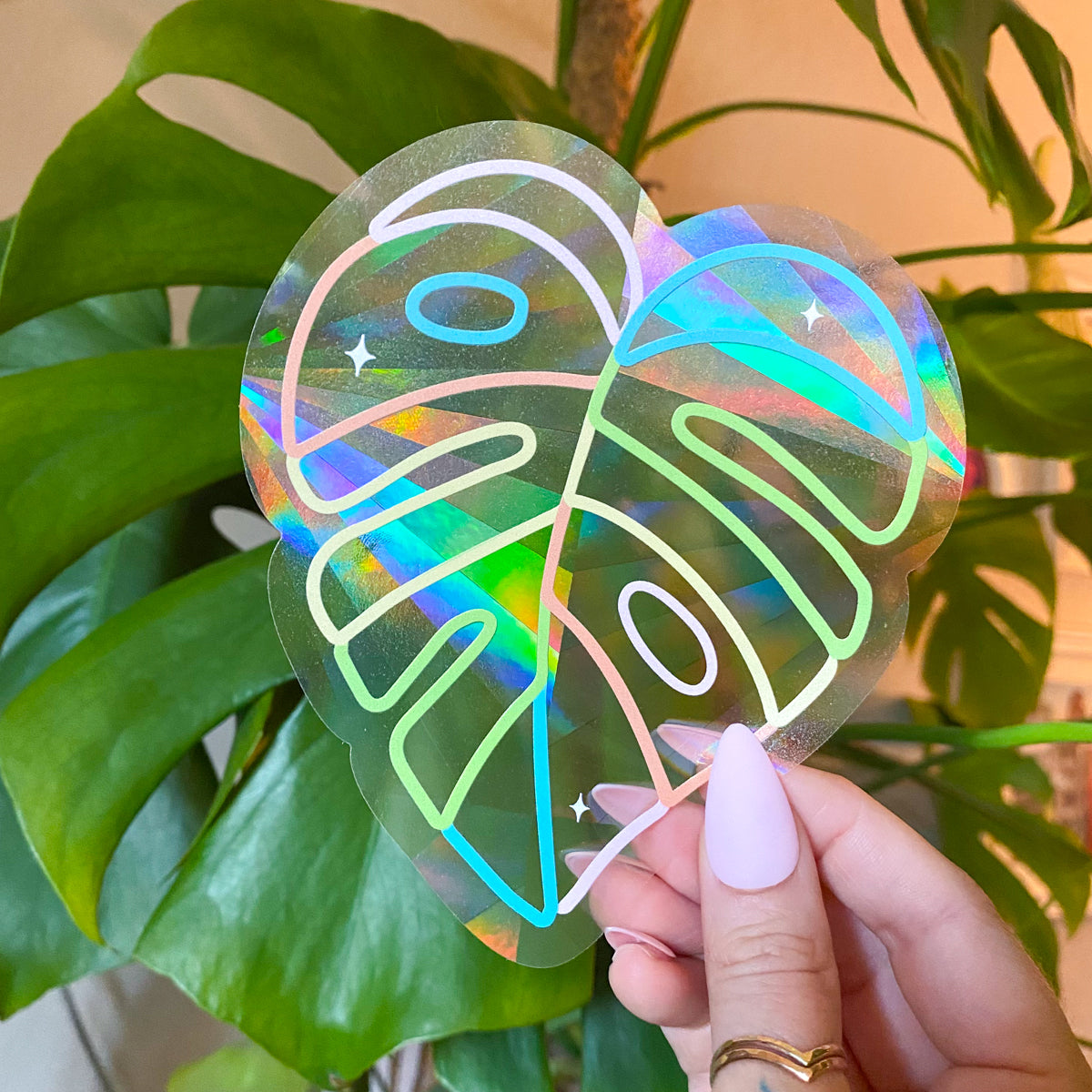 Monstera Leaf Suncatcher Decal