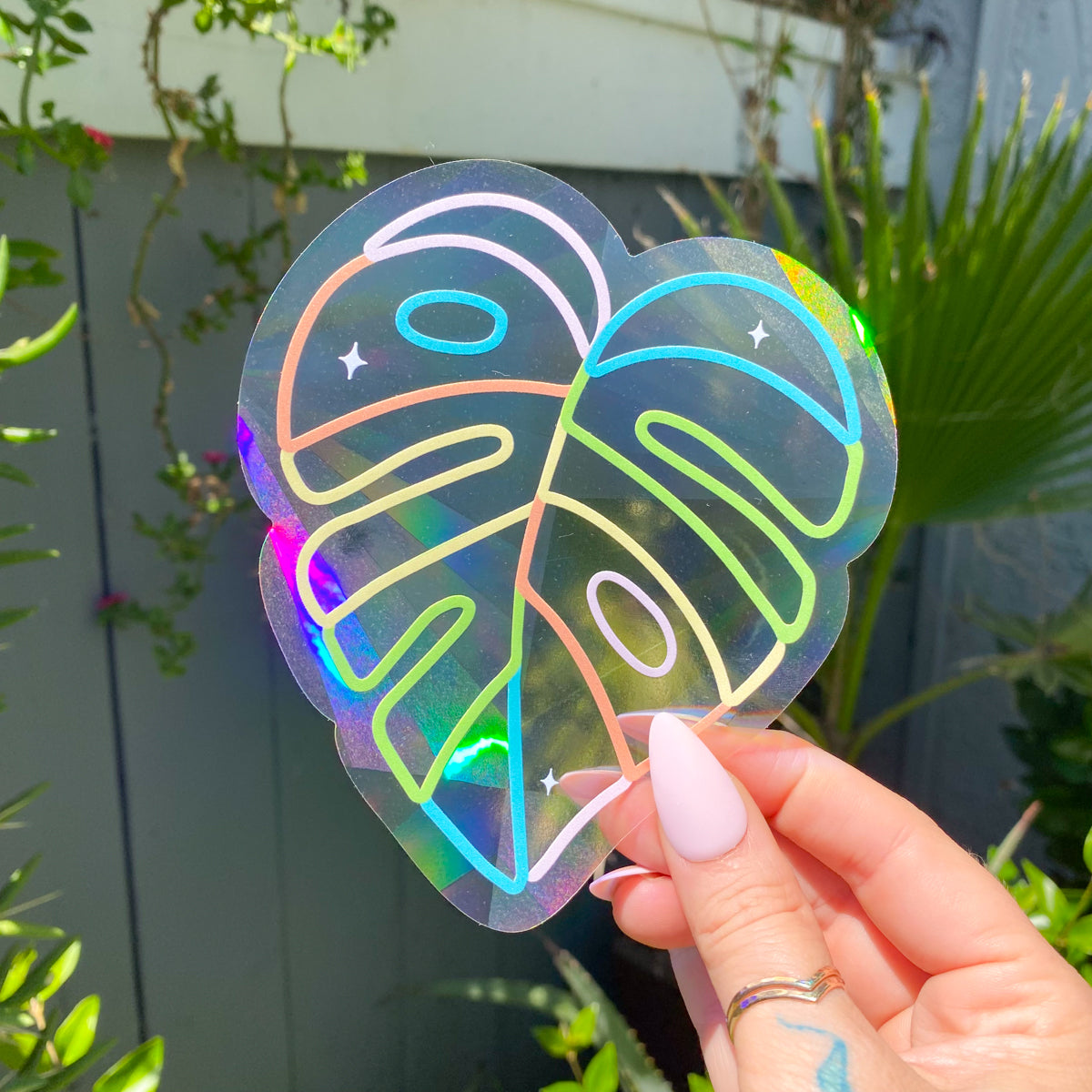 Monstera Leaf Suncatcher Decal