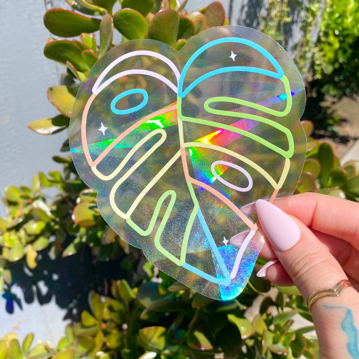 Monstera Leaf Suncatcher Decal
