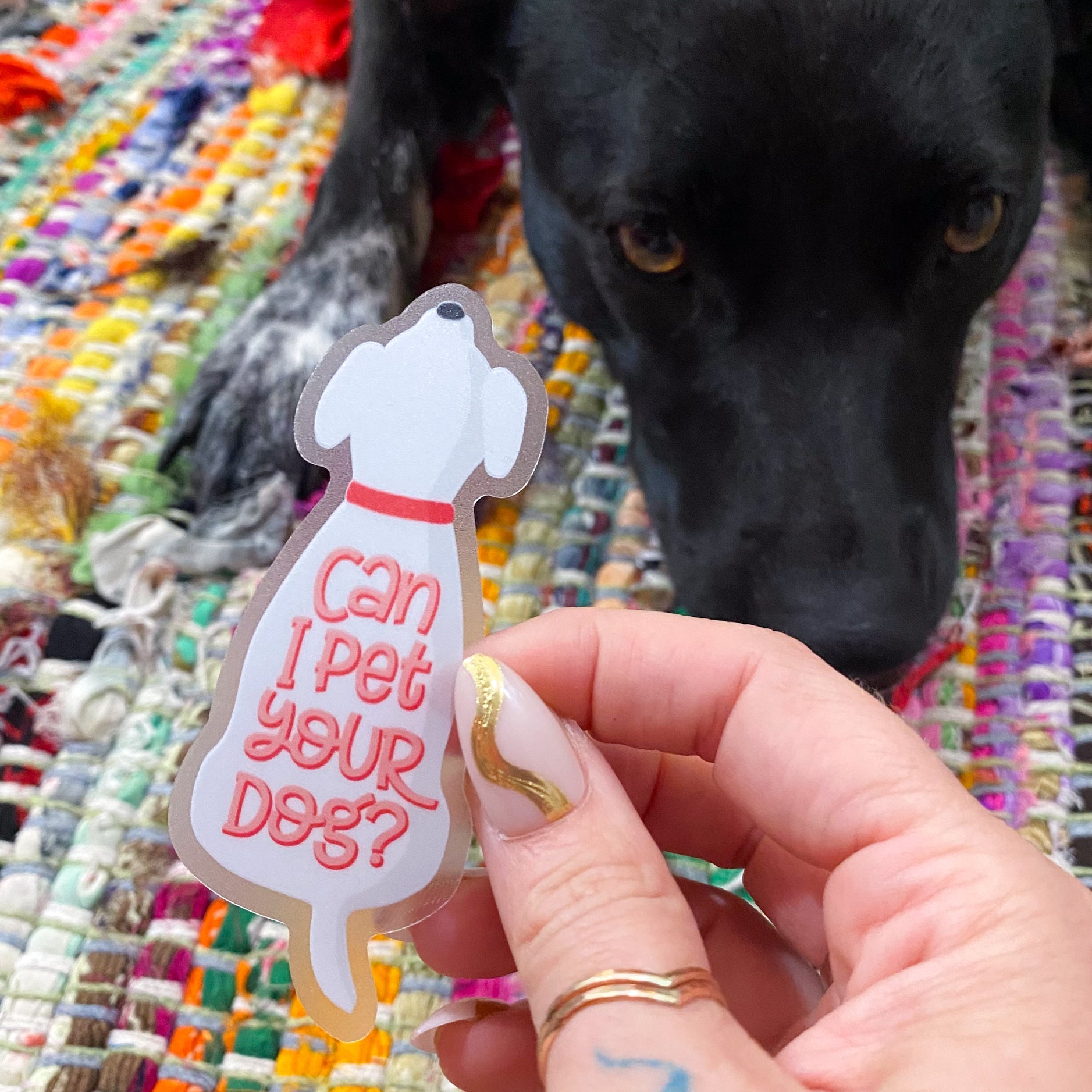 Can I Pet Your Dog Vinyl Sticker