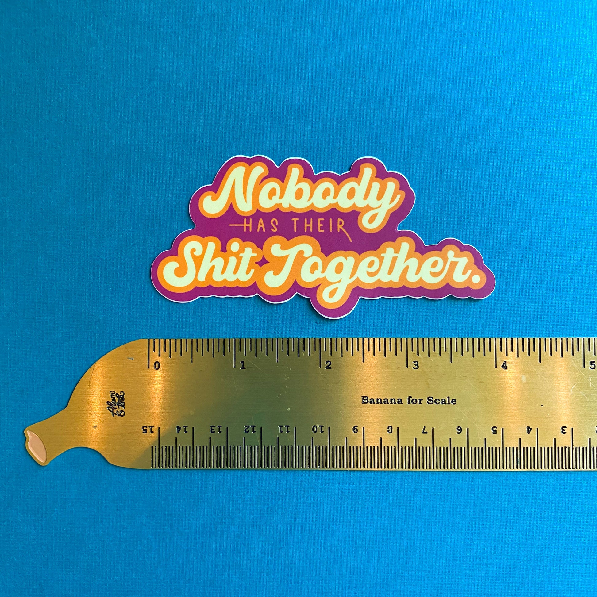 Nobody Has Their Shit Together Vinyl Sticker