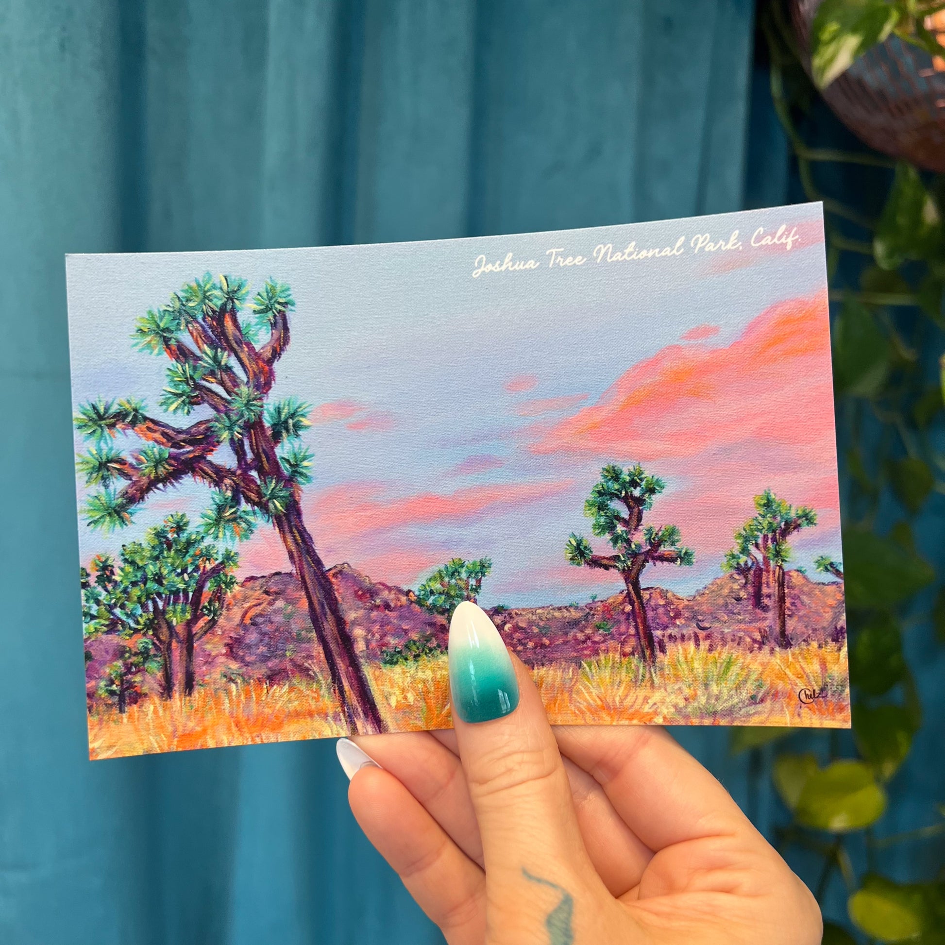 Joshua Tree National Park Postcard • California