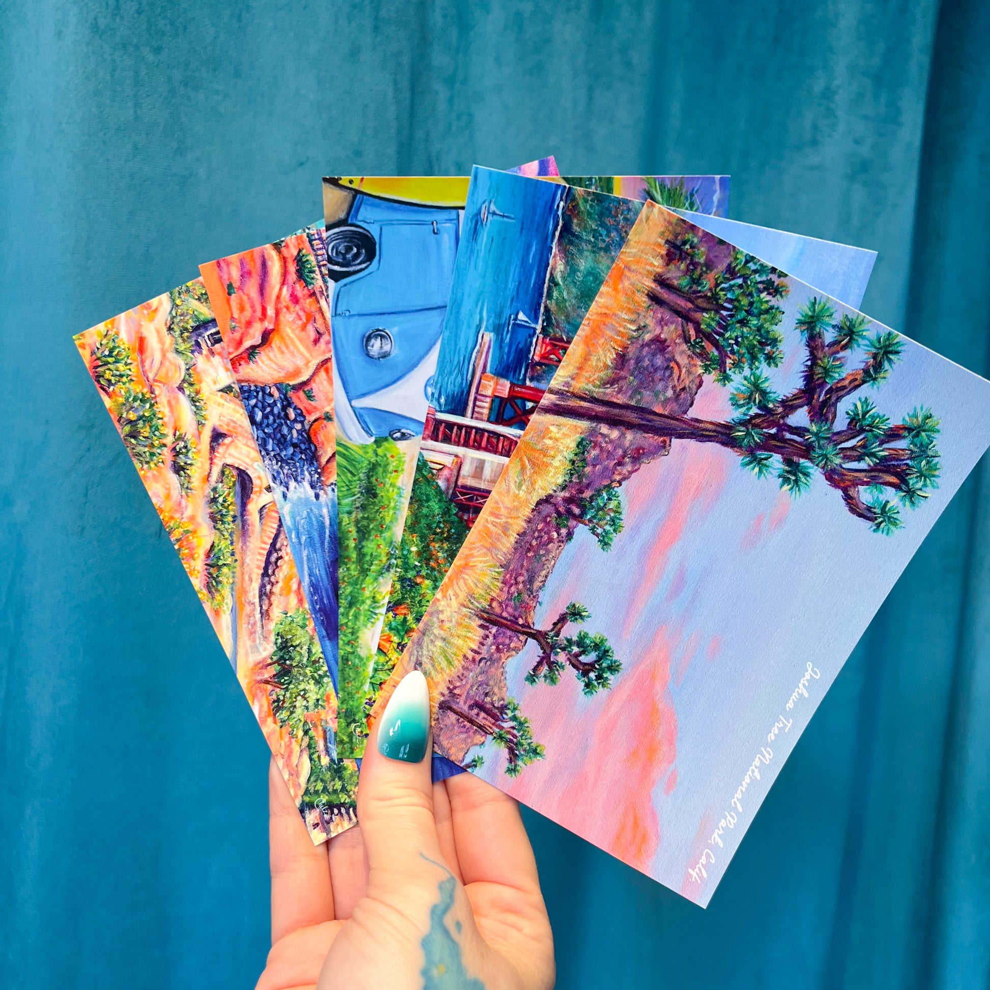 Joshua Tree National Park Postcard • California