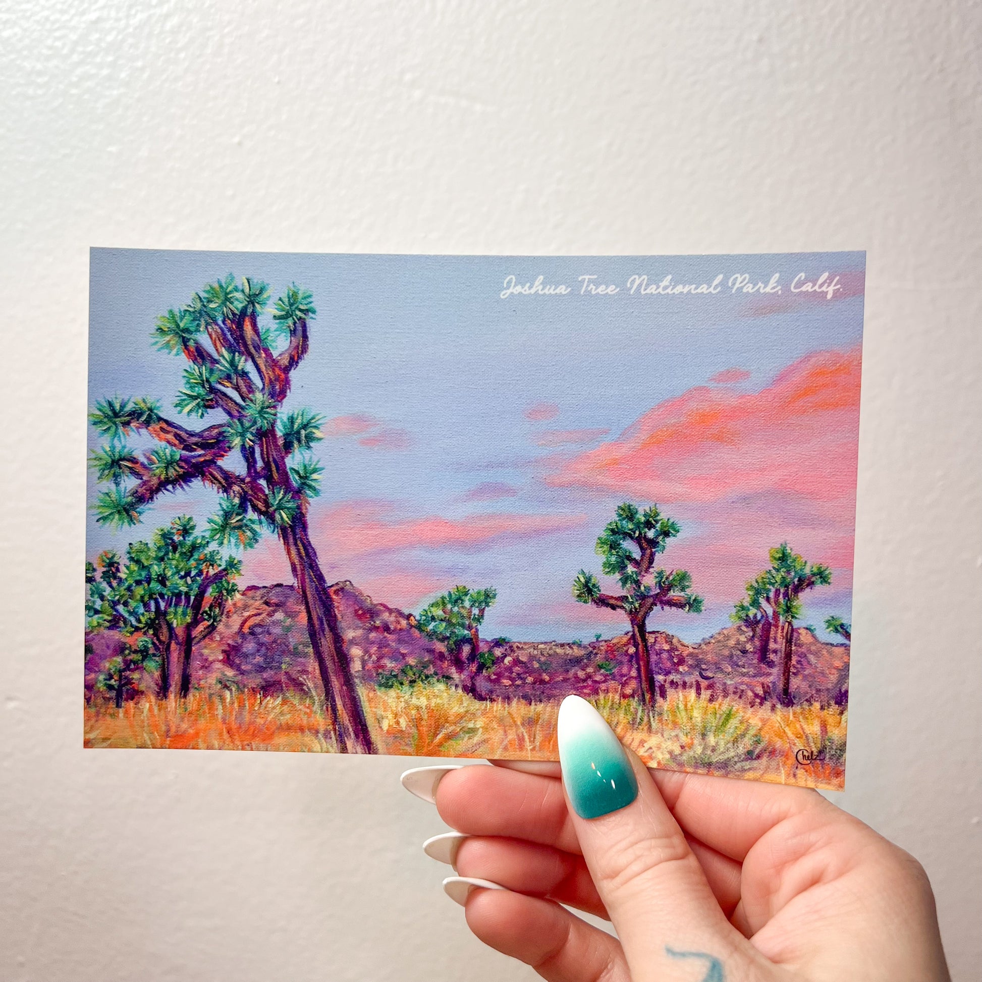 Joshua Tree National Park Postcard • California