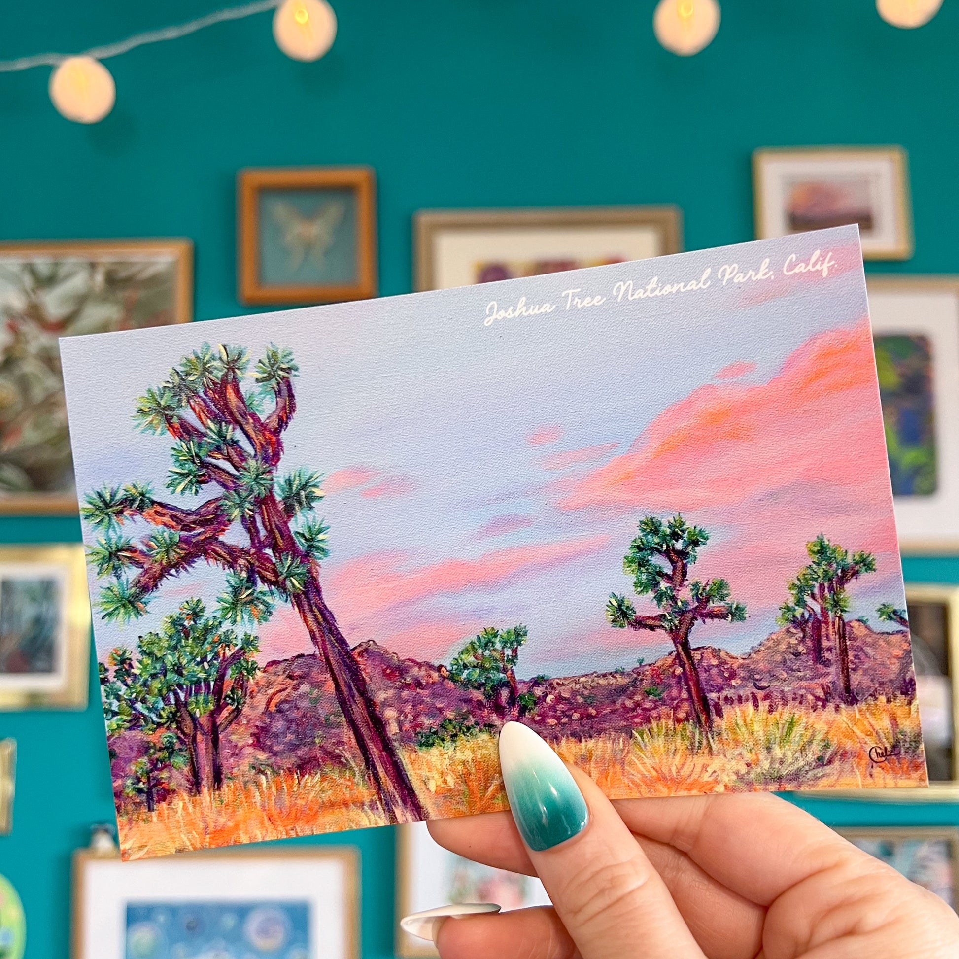 Joshua Tree National Park Postcard • California
