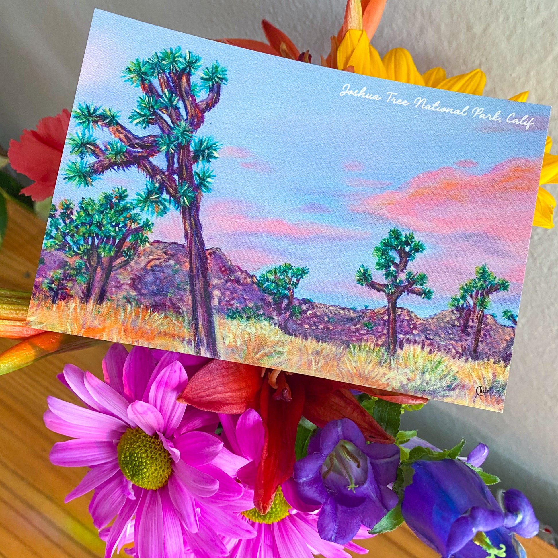 Joshua Tree National Park Postcard • California