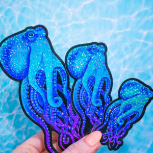 Octogalaxy Holographic Sticker
